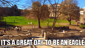 umw | IT'S A GREAT DAY TO BE AN EAGLE | image tagged in gifs | made w/ Imgflip video-to-gif maker