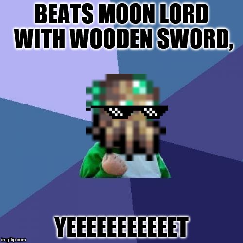 Success Kid Meme | BEATS MOON LORD WITH WOODEN SWORD, YEEEEEEEEEEET | image tagged in memes,success kid | made w/ Imgflip meme maker