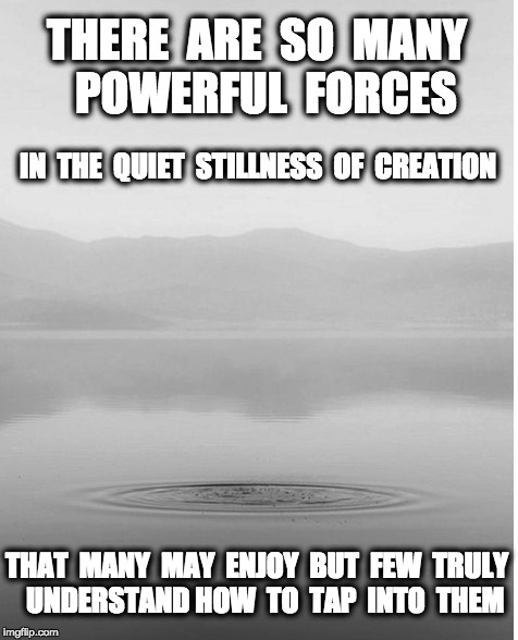 THERE  ARE  SO  MANY  POWERFUL  FORCES; IN  THE  QUIET  STILLNESS  OF  CREATION; THAT  MANY  MAY  ENJOY  BUT  FEW  TRULY 
 UNDERSTAND HOW  TO  TAP  INTO  THEM | image tagged in energy,mother earth,healing | made w/ Imgflip meme maker
