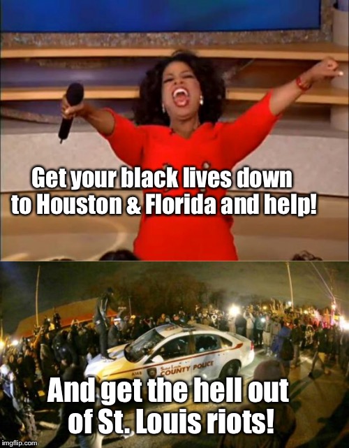 Get your black lives down to Houston & Florida and help! And get the hell out of St. Louis riots! | made w/ Imgflip meme maker