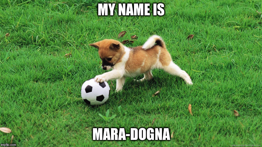 MY NAME IS MARA-DOGNA | made w/ Imgflip meme maker