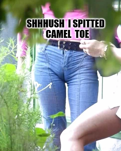toe knows | SHHHUSH  I SPITTED  CAMEL  TOE | image tagged in toe knows | made w/ Imgflip meme maker