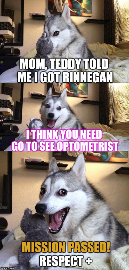 Bad Pun Dog Meme | MOM, TEDDY TOLD ME I GOT RINNEGAN; I THINK YOU NEED GO TO SEE OPTOMETRIST; MISSION PASSED! RESPECT + | image tagged in memes,bad pun dog | made w/ Imgflip meme maker