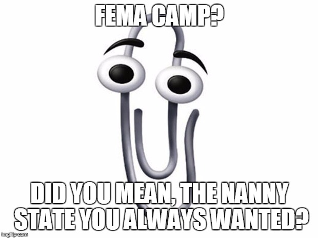 ms clip | FEMA CAMP? DID YOU MEAN, THE NANNY STATE YOU ALWAYS WANTED? | image tagged in ms clip | made w/ Imgflip meme maker