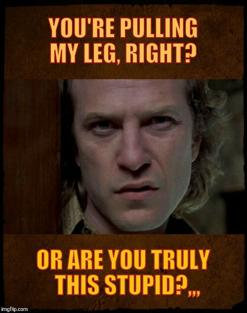 Buffalo Bill, Are you serious?,,, | YOU'RE PULLING MY LEG, RIGHT? OR ARE YOU TRULY  THIS STUPID?,,, | image tagged in buffalo bill are you serious?   | made w/ Imgflip meme maker