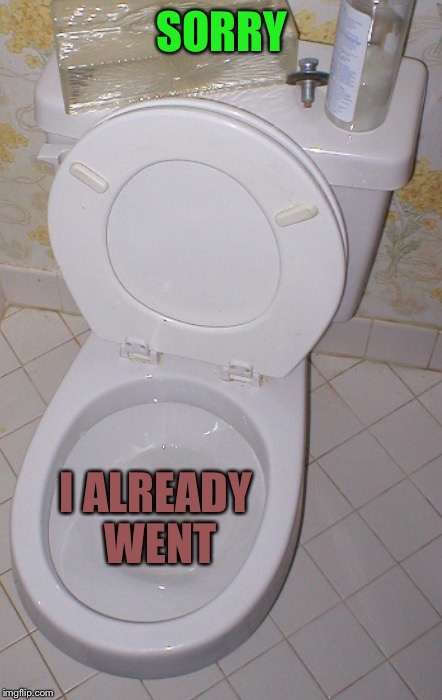 Toilet | SORRY I ALREADY WENT | image tagged in toilet | made w/ Imgflip meme maker