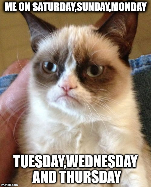 Grumpy Cat Meme | ME ON SATURDAY,SUNDAY,MONDAY; TUESDAY,WEDNESDAY AND THURSDAY | image tagged in memes,grumpy cat | made w/ Imgflip meme maker