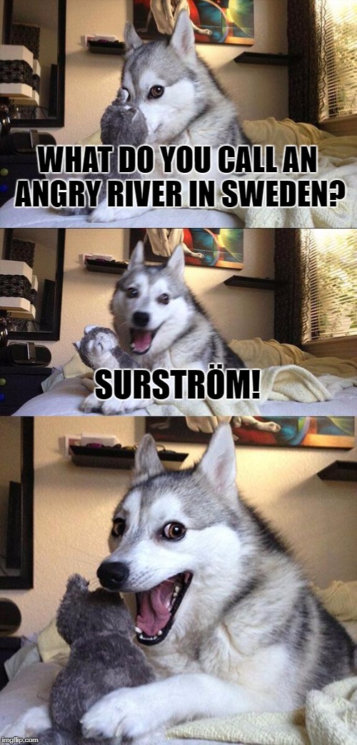Bad Pun Dog Meme | WHAT DO YOU CALL AN ANGRY RIVER IN SWEDEN? SURSTRÖM! | image tagged in memes,bad pun dog | made w/ Imgflip meme maker