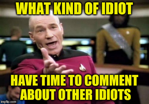 Picard Wtf Meme | WHAT KIND OF IDIOT HAVE TIME TO COMMENT ABOUT OTHER IDIOTS | image tagged in memes,picard wtf | made w/ Imgflip meme maker