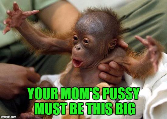 YOUR MOM'S PUSSY MUST BE THIS BIG | made w/ Imgflip meme maker
