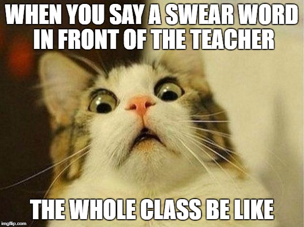 Scared Cat Meme | WHEN YOU SAY A SWEAR WORD IN FRONT OF THE TEACHER; THE WHOLE CLASS BE LIKE | image tagged in memes,scared cat | made w/ Imgflip meme maker