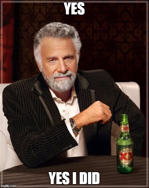 The Most Interesting Man In The World Meme | YES YES I DID | image tagged in memes,the most interesting man in the world | made w/ Imgflip meme maker
