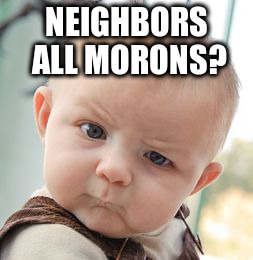 Skeptical Baby Meme | NEIGHBORS ALL MORONS? | image tagged in memes,skeptical baby | made w/ Imgflip meme maker
