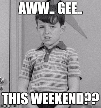 scared beaver | AWW.. GEE.. THIS WEEKEND?? | image tagged in scared beaver | made w/ Imgflip meme maker