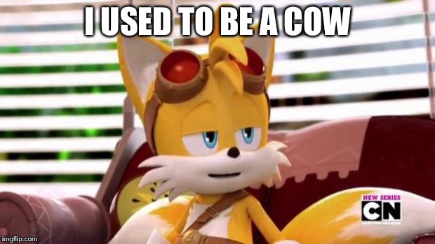 Scumbag Tails | I USED TO BE A COW | image tagged in scumbag tails | made w/ Imgflip meme maker