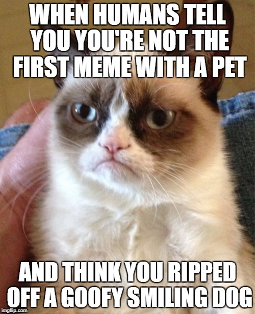 Grumpy Cat Meme | WHEN HUMANS TELL YOU YOU'RE NOT THE FIRST MEME WITH A PET; AND THINK YOU RIPPED OFF A GOOFY SMILING DOG | image tagged in memes,grumpy cat | made w/ Imgflip meme maker