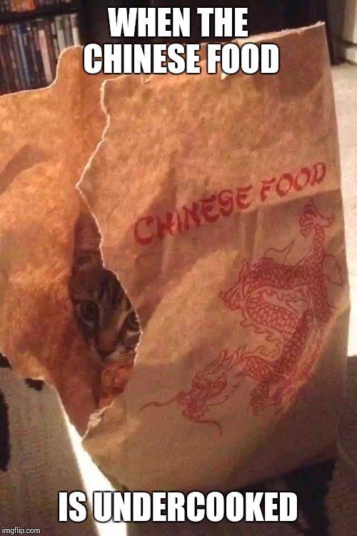 WHEN THE CHINESE FOOD; IS UNDERCOOKED | image tagged in sir_unknown,dank memes,funny,cats,chinese | made w/ Imgflip meme maker