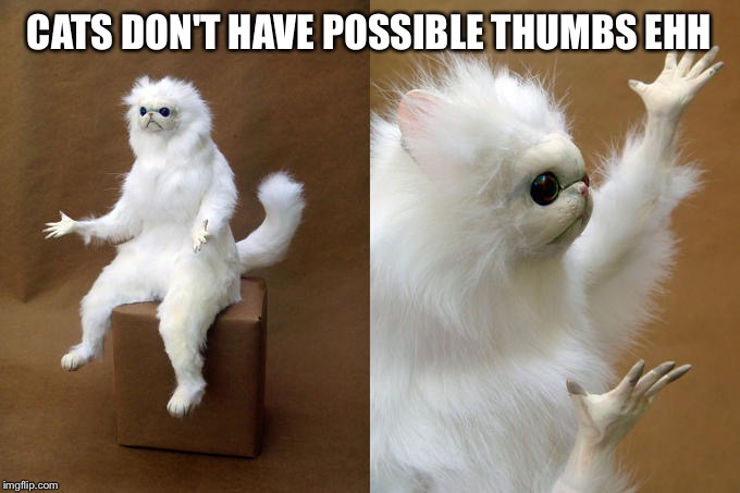 Persian Cat Room Guardian | CATS DON'T HAVE POSSIBLE THUMBS EHH | image tagged in memes,persian cat room guardian | made w/ Imgflip meme maker