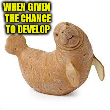 WHEN GIVEN THE CHANCE TO DEVELOP | made w/ Imgflip meme maker