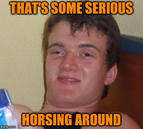 10 Guy Meme | THAT'S SOME SERIOUS HORSING AROUND | image tagged in memes,10 guy | made w/ Imgflip meme maker