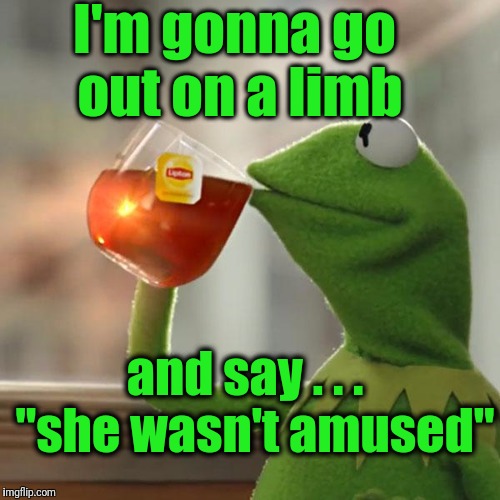 But That's None Of My Business Meme | I'm gonna go out on a limb and say . . .  "she wasn't amused" | image tagged in memes,but thats none of my business,kermit the frog | made w/ Imgflip meme maker