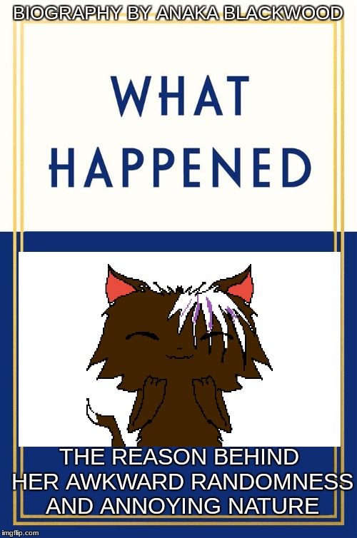 Would this count as an autobiography? | BIOGRAPHY BY ANAKA BLACKWOOD; THE REASON BEHIND HER AWKWARD RANDOMNESS AND ANNOYING NATURE | image tagged in what happened blank,memes,anakafire,rosa,cat,what happened | made w/ Imgflip meme maker