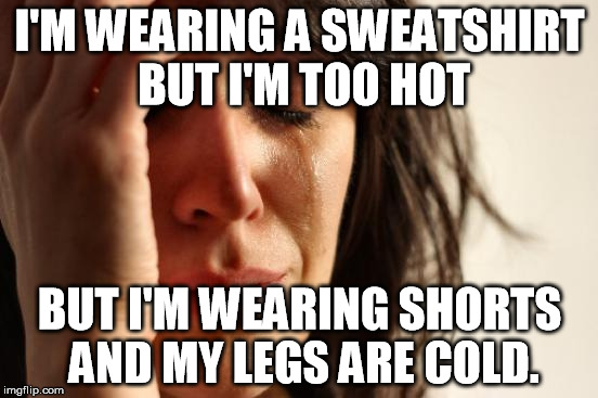 Why doesn't he just put on pants and a tshirt?  Well duh then I'd have to get out of my chair. | I'M WEARING A SWEATSHIRT BUT I'M TOO HOT; BUT I'M WEARING SHORTS AND MY LEGS ARE COLD. | image tagged in memes,first world problems,too hot,too ccold | made w/ Imgflip meme maker