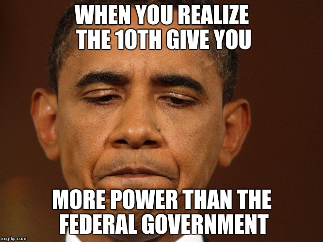 That moment when you realize that you have too much homework and | WHEN YOU REALIZE THE 10TH GIVE YOU; MORE POWER THAN THE FEDERAL GOVERNMENT | image tagged in that moment when you realize that you have too much homework and | made w/ Imgflip meme maker