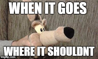 WHEN IT GOES; WHERE IT SHOULDNT | image tagged in first world problems,bad dog | made w/ Imgflip meme maker
