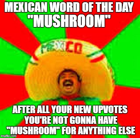 MEXICAN WORD OF THE DAY AFTER ALL YOUR NEW UPVOTES YOU'RE NOT GONNA HAVE "MUSHROOM" FOR ANYTHING ELSE "MUSHROOM" | made w/ Imgflip meme maker