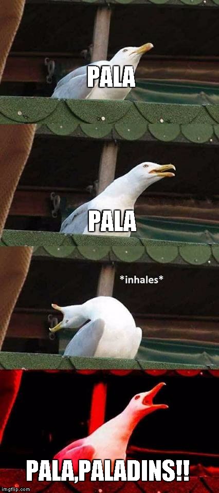 PALADINS | PALA; PALA; PALA,PALADINS!! | image tagged in pala | made w/ Imgflip meme maker