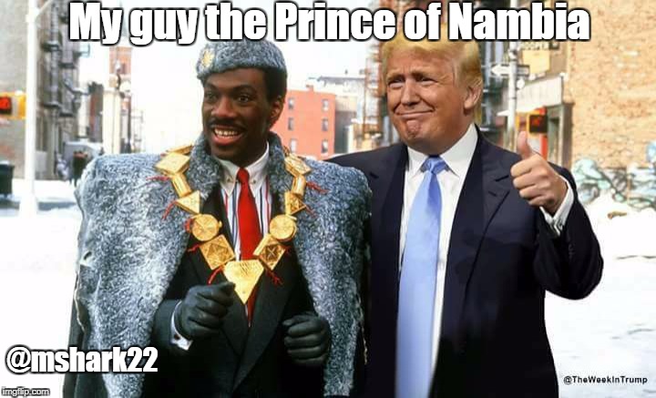 Prince of Nambia | My guy the Prince of Nambia; @mshark22 | image tagged in donald trump | made w/ Imgflip meme maker