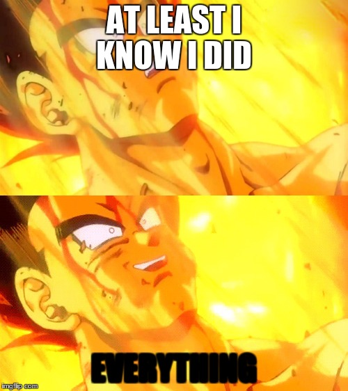 Bardock death meme | AT LEAST I KNOW I DID; EVERYTHING | image tagged in bardock death meme | made w/ Imgflip meme maker