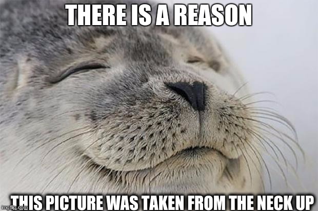 Satisfied Seal | THERE IS A REASON; THIS PICTURE WAS TAKEN FROM THE NECK UP | image tagged in memes,satisfied seal | made w/ Imgflip meme maker