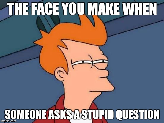 Futurama Fry Meme | THE FACE YOU MAKE WHEN; SOMEONE ASKS A STUPID QUESTION | image tagged in memes,futurama fry | made w/ Imgflip meme maker