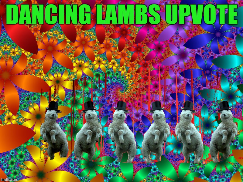 DANCING LAMBS UPVOTE | made w/ Imgflip meme maker