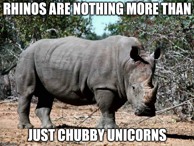 maybe they need a better press agent | RHINOS ARE NOTHING MORE THAN; JUST CHUBBY UNICORNS | image tagged in rhino,unicorn,explanation | made w/ Imgflip meme maker