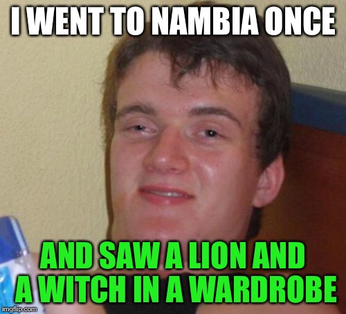 10 Guy Meme | I WENT TO NAMBIA ONCE AND SAW A LION AND A WITCH IN A WARDROBE | image tagged in memes,10 guy | made w/ Imgflip meme maker