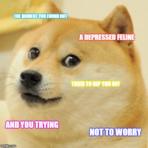 Doge | THE MOMENT YOU FOUND OUT; A DEPRESSED FELINE; TRIED TO RIP YOU OFF; AND YOU TRYING; NOT TO WORRY | image tagged in memes,doge | made w/ Imgflip meme maker