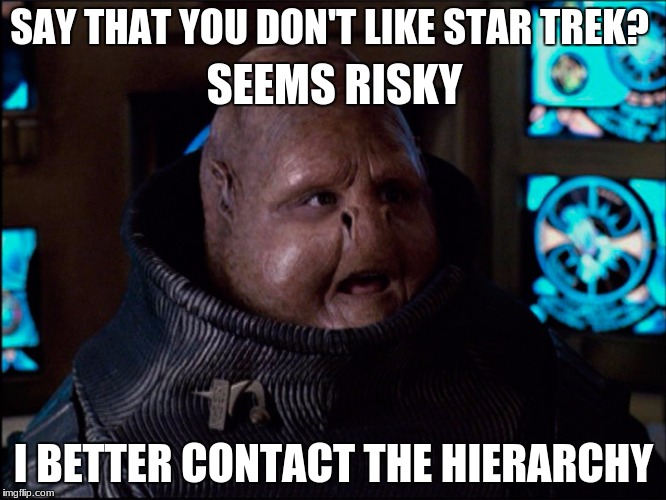 Overlooker meme | SAY THAT YOU DON'T LIKE STAR TREK? SEEMS RISKY; I BETTER CONTACT THE HIERARCHY | image tagged in star trek voyager,overlookers | made w/ Imgflip meme maker