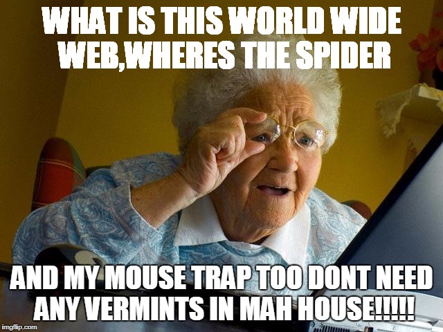 Grandma Finds The Internet | WHAT IS THIS WORLD WIDE WEB,WHERES THE SPIDER; AND MY MOUSE TRAP TOO DONT NEED ANY VERMINTS IN MAH HOUSE!!!!! | image tagged in memes,grandma finds the internet | made w/ Imgflip meme maker
