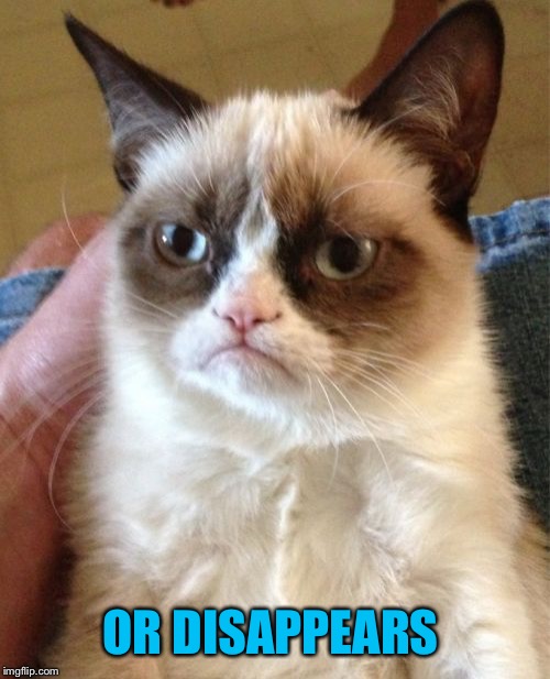 Grumpy Cat Meme | OR DISAPPEARS | image tagged in memes,grumpy cat | made w/ Imgflip meme maker