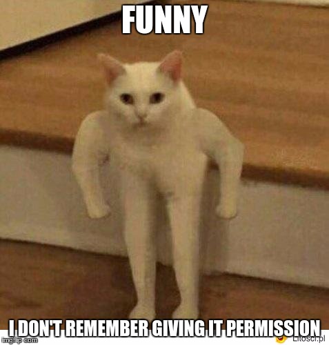 FUNNY I DON'T REMEMBER GIVING IT PERMISSION | made w/ Imgflip meme maker