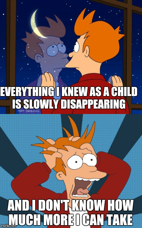 Fry Meme Makes Sense