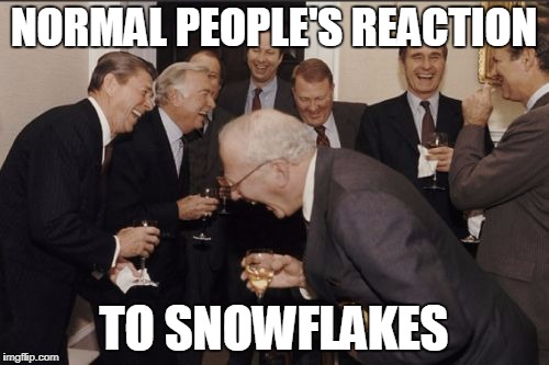 Laughing Men In Suits Meme | NORMAL PEOPLE'S REACTION TO SNOWFLAKES | image tagged in memes,laughing men in suits | made w/ Imgflip meme maker