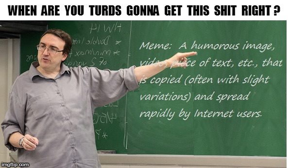 Memes are supposed to be humorous | WHEN  ARE  YOU  TURDS  GONNA  GET  THIS  SHIT  RIGHT ? | image tagged in meme,turd,humor,teacher | made w/ Imgflip meme maker