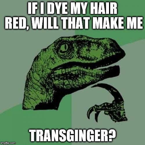 Philosoraptor | IF I DYE MY HAIR RED, WILL THAT MAKE ME; TRANSGINGER? | image tagged in memes,philosoraptor,funny,funny memes,ginger | made w/ Imgflip meme maker