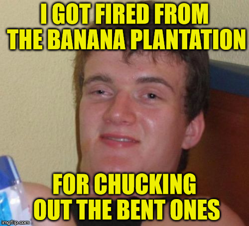 10 Guy tries working with fruit | I GOT FIRED FROM THE BANANA PLANTATION; FOR CHUCKING OUT THE BENT ONES | image tagged in memes,10 guy,bananas,bent,banana plantation,fired | made w/ Imgflip meme maker