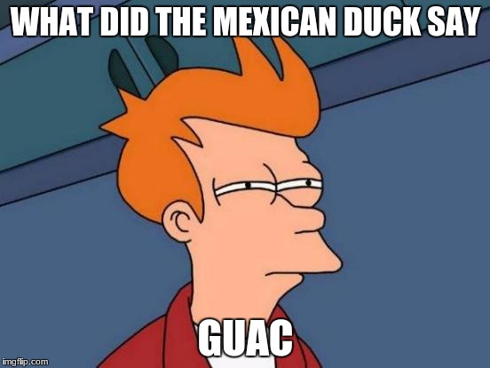 Futurama Fry Meme | WHAT DID THE MEXICAN DUCK SAY; GUAC | image tagged in memes,futurama fry | made w/ Imgflip meme maker
