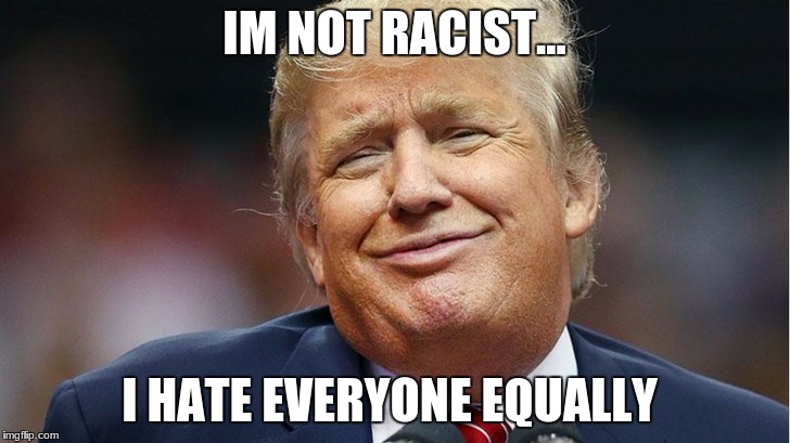 Racist Trump | IM NOT RACIST... I HATE EVERYONE EQUALLY | image tagged in donald trump | made w/ Imgflip meme maker